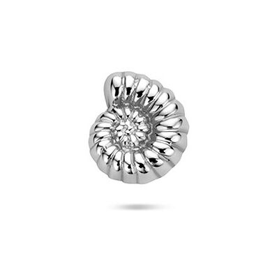 Quickjewels Huiscollectie Zilver Zilver Gerhodineerde flat back piercing schelp 6 mm 1342184 Quickjewels Huiscollectie Zilver Zilver Gerhodineerde flat back piercing schelp 6 mm 1342184