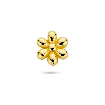 Quickjewels Huiscollectie Zilver zilver verguld (geel) flat back piercing bloem 5 mm 1 micron 2104200 Quickjewels Huiscollectie Zilver zilver verguld (geel) flat back piercing bloem 5 mm 1 micron 2104200