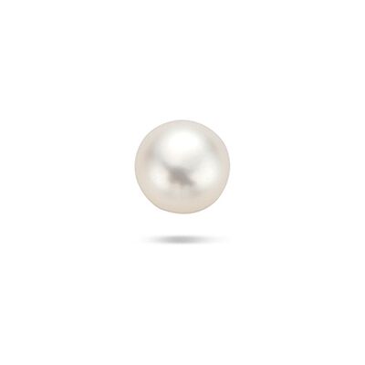 Quickjewels Huiscollectie Zilver zilver verguld (geel) flat back piercing parel 1 micron 2104210 Quickjewels Huiscollectie Zilver zilver verguld (geel) flat back piercing parel 1 micron 2104210