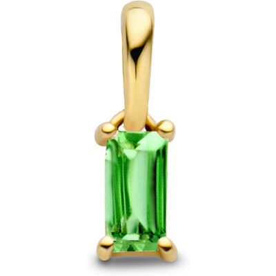 Quickjewels Huiscollectie Goud hanger met geboortesteen 14K geelgoud 4027202 Quickjewels Huiscollectie Goud hanger met geboortesteen 14K geelgoud 4027202