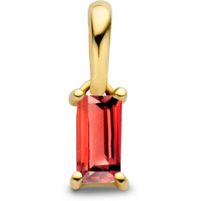 Quickjewels Huiscollectie Goud hanger met geboortesteen 14K geelgoud 4027207 Quickjewels Huiscollectie Goud hanger met geboortesteen 14K geelgoud 4027207