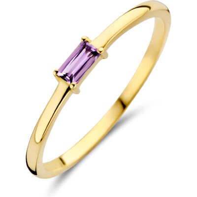 Quickjewels Huiscollectie Goud ring met geboortesteen amethist juni 14K geelgoud 4027239 Quickjewels Huiscollectie Goud ring met geboortesteen amethist juni 14K geelgoud 4027239