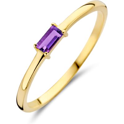 Quickjewels Huiscollectie Goud ring met geboortesteen amethist februari 14K geelgoud 4027243 Quickjewels Huiscollectie Goud ring met geboortesteen amethist februari 14K geelgoud 4027243