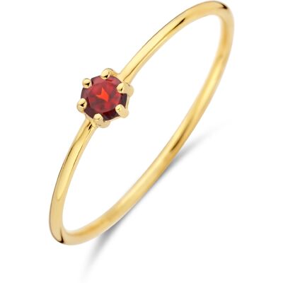 Quickjewels Huiscollectie Goud ring met geboortesteen granaat januari 14K geelgoud 4027601 Quickjewels Huiscollectie Goud ring met geboortesteen granaat januari 14K geelgoud 4027601