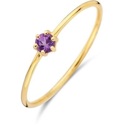 Quickjewels Huiscollectie Goud ring met geboortesteen amethist februari 14K geelgoud 4027630 Quickjewels Huiscollectie Goud ring met geboortesteen amethist februari 14K geelgoud 4027630