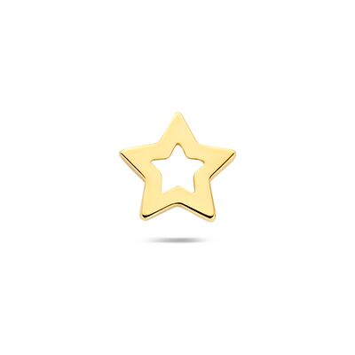Quickjewels Huiscollectie Goud 14K geelgoud flat back piercing ster 5 mm 4035641 Quickjewels Huiscollectie Goud 14K geelgoud flat back piercing ster 5 mm 4035641