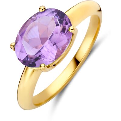 Quickjewels Huiscollectie Goud 14K geelgoud ring amethist 4035948 17.25 Quickjewels Huiscollectie Goud 14K geelgoud ring amethist 4035948 17.25
