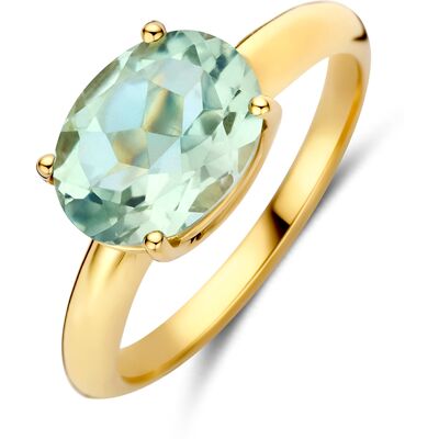 Quickjewels Huiscollectie Goud 14K geelgoud ring groen amethist 4035951 16.50 Quickjewels Huiscollectie Goud 14K geelgoud ring groen amethist 4035951 16.50