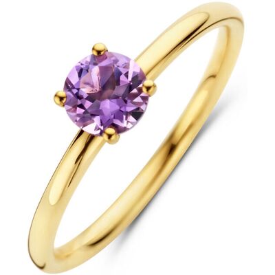 Quickjewels Huiscollectie Goud ring amethist 5,0 mm 14K geelgoud 4027544 Quickjewels Huiscollectie Goud ring amethist 5,0 mm 14K geelgoud 4027544