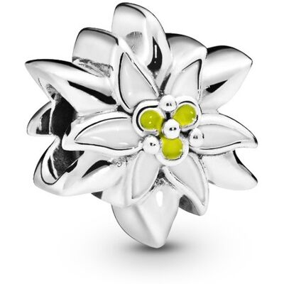 Pandora 798243ENMX - Edelweiss - Bedel Pandora 798243ENMX - Edelweiss - Bedel