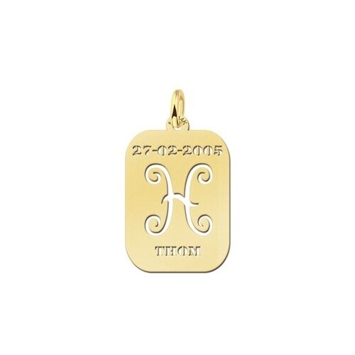 Names4ever Astrologie Vissen Goud Hanger GHS012 female