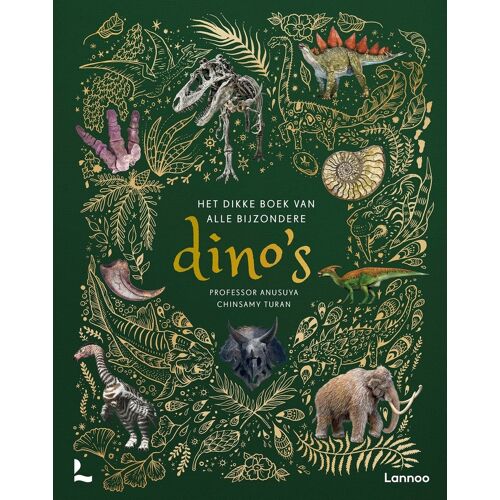 BOEK Het dikke boek van alle bijzondere dino's