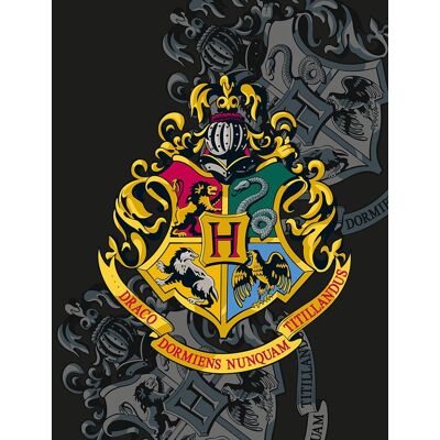 Halantex Harry Potter Deken - 130x170 cm - Zwart Halantex Harry Potter Deken - 130x170 cm - Zwart