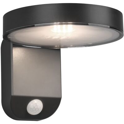 BES LED LED Solar Tuinverlichting - Trion Posyda - Zonne-energie - Bewegingssensor - 4W - Mat Antraciet BES LED LED Solar Tuinverlichting - Trion Posyda - Zonne-energie - Bewegingssensor - 4W - Mat Antraciet