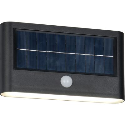 BES LED LED Tuinverlichting - Trion Elmar - Wandlamp Buitenlamp - 1 Lichtpunt van 8 Watt - Natuurlijk Wit 4000K - Schemeringsensor - Bewegingssensor - IP44 - Mat Zwart - Kunststof BES LED LED Tuinverlichting - Trion Elmar - Wandlamp Buitenlamp - 1 Lichtpunt van 8 Watt - Natuurlijk Wit 4000K - Schemeringsensor - Bewegingssensor - IP44 - Mat Zwart - Kunststof