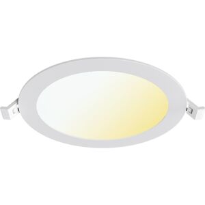BES LED LED Downlight Inbouwspot - Brinton Thin - 12W 1120lm 120° Bundelhoek - Aanpasbare Lichtkleur 3000K-4000K-6500K - IP40 - Rond - Wit - Ø170mm Buitenmaat - Ø150mm Zaagmaat BES LED LED Downlight Inbouwspot - Brinton Thin - 12W 1120lm 120° Bundelhoek - Aanpasbare Lichtkleur 3000K-4000K-6500K - IP40 - Rond - Wit - Ø170mm Buitenmaat - Ø150mm Zaagmaat