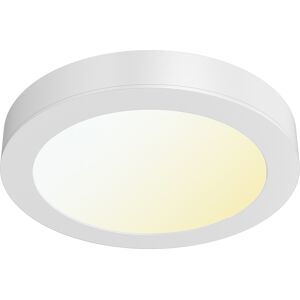 BES LED LED Downlight Opbouwspot - Brinton Thin - 12W 1120lm 120° Bundelhoek - Aanpasbare Lichtkleur 3000K-4000K-6500K - IP40 - Rond - Wit - Ø172mm BES LED LED Downlight Opbouwspot - Brinton Thin - 12W 1120lm 120° Bundelhoek - Aanpasbare Lichtkleur 3000K-4000K-6500K - IP40 - Rond - Wit - Ø172mm