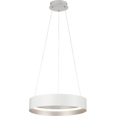 LED Hanglamp - Musterring Loop - 1 Lichtpunt van 38 Watt - Dimbaar - Aanpasbare Lichtkleur - Hoogte Aanpasbaar - Geheugenfunctie - Nachtlamp - Afstandsbediening - Mat Wit - Metaal LED Hanglamp - Musterring Loop - 1 Lichtpunt van 38 Watt - Dimbaar - Aanpasbare Lichtkleur - Hoogte Aanpasbaar - Geheugenfunctie - Nachtlamp - Afstandsbediening - Mat Wit - Metaal