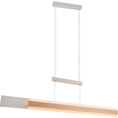 LED Hanglamp - Musterring Rivera - 1 Lichtpunt van 48 Watt - Dimbaar - Aanpasbare Lichtkleur - Hoogte Aanpasbaar - Afstandsbediening - Uitschuifbaar - Warm Grijs - Metaal LED Hanglamp - Musterring Rivera - 1 Lichtpunt van 48 Watt - Dimbaar - Aanpasbare Lichtkleur - Hoogte Aanpasbaar - Afstandsbediening - Uitschuifbaar - Warm Grijs - Metaal