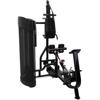 Inspire Fitness DUAL Station Ab and Back Machine Inspire Fitness DUAL Station Ab and Back Machine