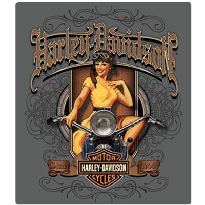 Harley-Davidson Old Scroll Babe Metalen Bord - 33 x 38cm LAATSTE STUKS 9% korting Harley-Davidson Old Scroll Babe Metalen Bord - 33 x 38cm LAATSTE STUKS 9% korting