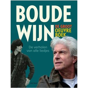 Fiftiesstore Boudewijn de Groot Oeuvreboek Hardcover Boek NL - Peter Voskuil Fiftiesstore Boudewijn de Groot Oeuvreboek Hardcover Boek NL - Peter Voskuil