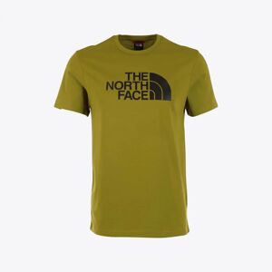 The North Face T-shirt Groen Logo Groen Extra Large man