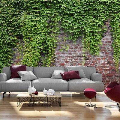 Karo-art Fotobehang -Muur met klimop, premium print vliesbehang 200x140cm Karo-art Fotobehang -Muur met klimop, premium print vliesbehang 200x140cm