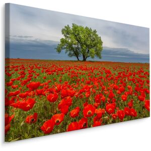 Karo-art Schilderij - Klaprozen veld, premium print 40x30cm Karo-art Schilderij - Klaprozen veld, premium print 40x30cm