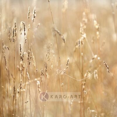 Karo-art Schilderij - Mist in het veld , Beige geel , 3 maten , Premium print 80x80cm Karo-art Schilderij - Mist in het veld , Beige geel , 3 maten , Premium print 80x80cm