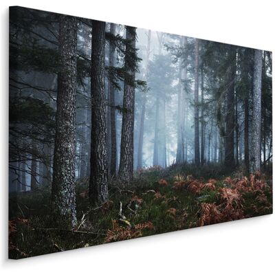 Karo-art Schilderij - Bos in de mist, premium print, natuur aan de muur 100x70cm Karo-art Schilderij - Bos in de mist, premium print, natuur aan de muur 100x70cm