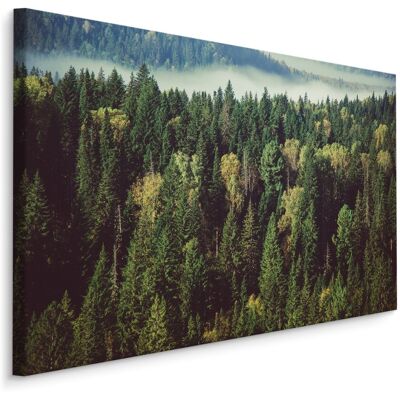 Karo-art Schilderij - Groen bos met mist, 4 maten, premium print 70 x 50 cmcm Karo-art Schilderij - Groen bos met mist, 4 maten, premium print 70 x 50 cmcm