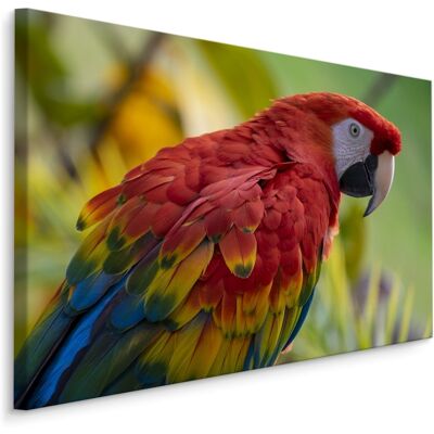 Karo-art Schilderij - Kleurrijke Ara in de Natuur, Premium Print 70x50cm Karo-art Schilderij - Kleurrijke Ara in de Natuur, Premium Print 70x50cm
