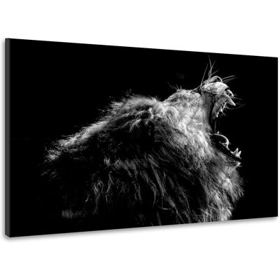 Karo-art Schilderij - Brullende Leeuw, 100x70cm. Premium print, dieren dieren Karo-art Schilderij - Brullende Leeuw, 100x70cm. Premium print, dieren dieren