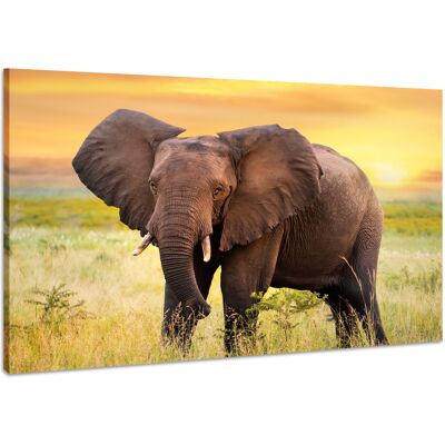 Karo-art Schilderij - Nieuwsgierige Olifant, 100x70cm. Premium print, dieren dieren Karo-art Schilderij - Nieuwsgierige Olifant, 100x70cm. Premium print, dieren dieren