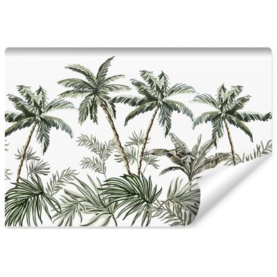 Karo-art Fotobehang - Palmbomen en exotische planten, licht behang aan de muur, 11 maten, inclusief behanglijm 416 x 290 cmcm Karo-art Fotobehang - Palmbomen en exotische planten, licht behang aan de muur, 11 maten, inclusief behanglijm 416 x 290 cmcm