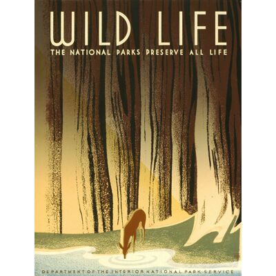 Karo-art Poster - Wild Life, 1936 originele poster, 50x70cm, Premium Print, Verpakt in stevige kartonnen rolkoker rolkoker Karo-art Poster - Wild Life, 1936 originele poster, 50x70cm, Premium Print, Verpakt in stevige kartonnen rolkoker rolkoker