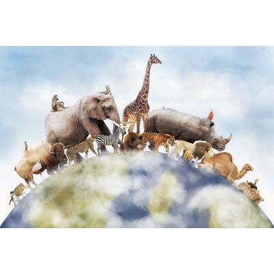 Karo-art Schilderij - Een wereld van wilde dieren , Multikleur , 2 maten , Premium print 90x60cm Karo-art Schilderij - Een wereld van wilde dieren , Multikleur , 2 maten , Premium print 90x60cm