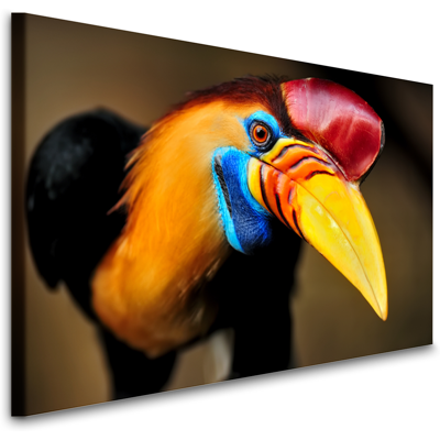 Karo-art Schilderij - Nieuwsgierige neushoornvogel, premium print, wanddecoratie, zeer stevig verpakt geleverd , Dieren 100x70cm Karo-art Schilderij - Nieuwsgierige neushoornvogel, premium print, wanddecoratie, zeer stevig verpakt geleverd , Dieren 100x70cm