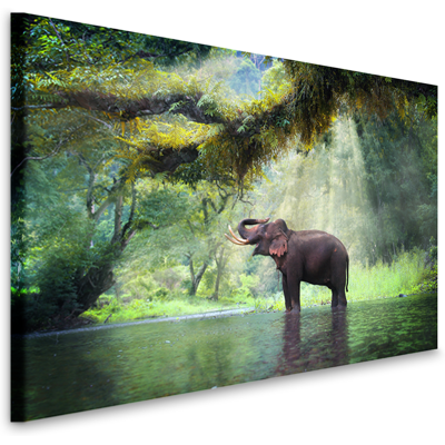 Karo-art Schilderij - Olifant in het water , wanddecoratie, zeer stevig verpakt geleverd , premium print, Dieren, natuur 100x70cm Karo-art Schilderij - Olifant in het water , wanddecoratie, zeer stevig verpakt geleverd , premium print, Dieren, natuur 100x70cm