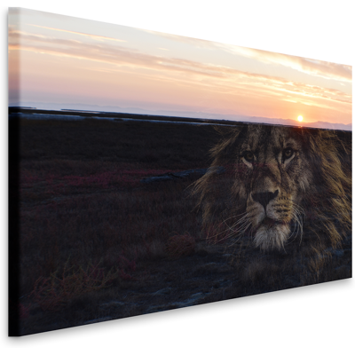 Karo-art Schilderij - Leeuw en zonsondergang, prachtig schilderij in 2 beelden, voor woonkamer en slaapkamer, 2 maten, dieren 90x60cm Karo-art Schilderij - Leeuw en zonsondergang, prachtig schilderij in 2 beelden, voor woonkamer en slaapkamer, 2 maten, dieren 90x60cm