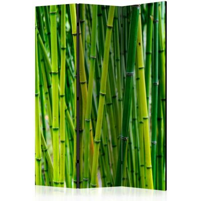 Karo-art Vouwscherm / Kamerscherm - Bos van Bamboe 135x172cm gemonteerd geleverd, dubbelzijdig geprint 135x172cm Karo-art Vouwscherm / Kamerscherm - Bos van Bamboe 135x172cm gemonteerd geleverd, dubbelzijdig geprint 135x172cm