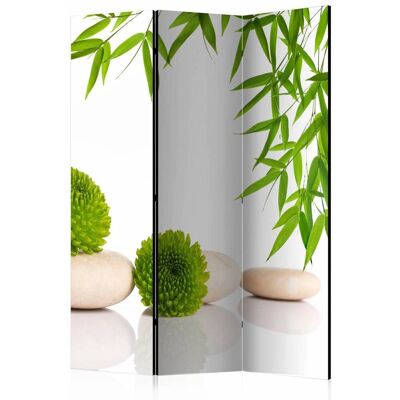 Karo-art Vouwscherm / Kamerscherm - Groen relax 135x172cm , gemonteerd geleverd, dubbelzijdig geprint 135x172cm Karo-art Vouwscherm / Kamerscherm - Groen relax 135x172cm , gemonteerd geleverd, dubbelzijdig geprint 135x172cm