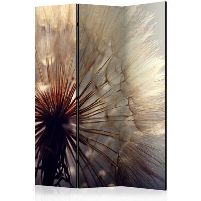 Karo-art Vouwscherm / Kamerscherm - Kus van de paardenbloem 135x172cm , gemonteerd geleverd, dubbelzijdig geprint 135x172cm Karo-art Vouwscherm / Kamerscherm - Kus van de paardenbloem 135x172cm , gemonteerd geleverd, dubbelzijdig geprint 135x172cm
