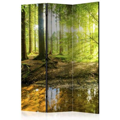 Karo-art Vouwscherm / Kamerscherm - Zonlicht in het bos 135x172cm , gemonteerd geleverd dubbelzijdig geprint 135x172cm Karo-art Vouwscherm / Kamerscherm - Zonlicht in het bos 135x172cm , gemonteerd geleverd dubbelzijdig geprint 135x172cm