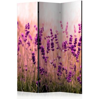 Karo-art Vouwscherm / Kamerscherm - Lavendel in de regen 135x172cm , gemonteerd geleverd dubbelzijdig geprint 135x172cm Karo-art Vouwscherm / Kamerscherm - Lavendel in de regen 135x172cm , gemonteerd geleverd dubbelzijdig geprint 135x172cm