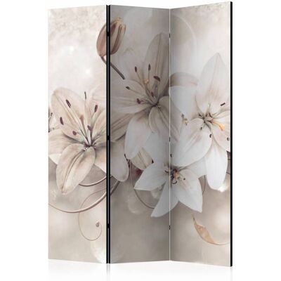 Karo-art Vouwscherm / Kamerscherm - In het wit 135x172cm , gemonteerd geleverd dubbelzijdig geprint 135x172cm Karo-art Vouwscherm / Kamerscherm - In het wit 135x172cm , gemonteerd geleverd dubbelzijdig geprint 135x172cm