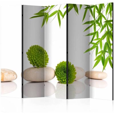 Karo-art Vouwscherm / Kamerscherm - Relax in het groen 225x172cm , gemonteerd geleverd, dubbelzijdig geprint 225x172cm Karo-art Vouwscherm / Kamerscherm - Relax in het groen 225x172cm , gemonteerd geleverd, dubbelzijdig geprint 225x172cm