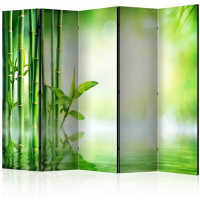 Karo-art Vouwscherm / Kamerscherm - Groen bamboe 225x172cm , gemonteerd geleverd, dubbelzijdig geprint 225x172cm Karo-art Vouwscherm / Kamerscherm - Groen bamboe 225x172cm , gemonteerd geleverd, dubbelzijdig geprint 225x172cm