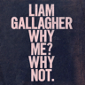 Warner Mus Liam Gallagher - Why Me Not Vinyl